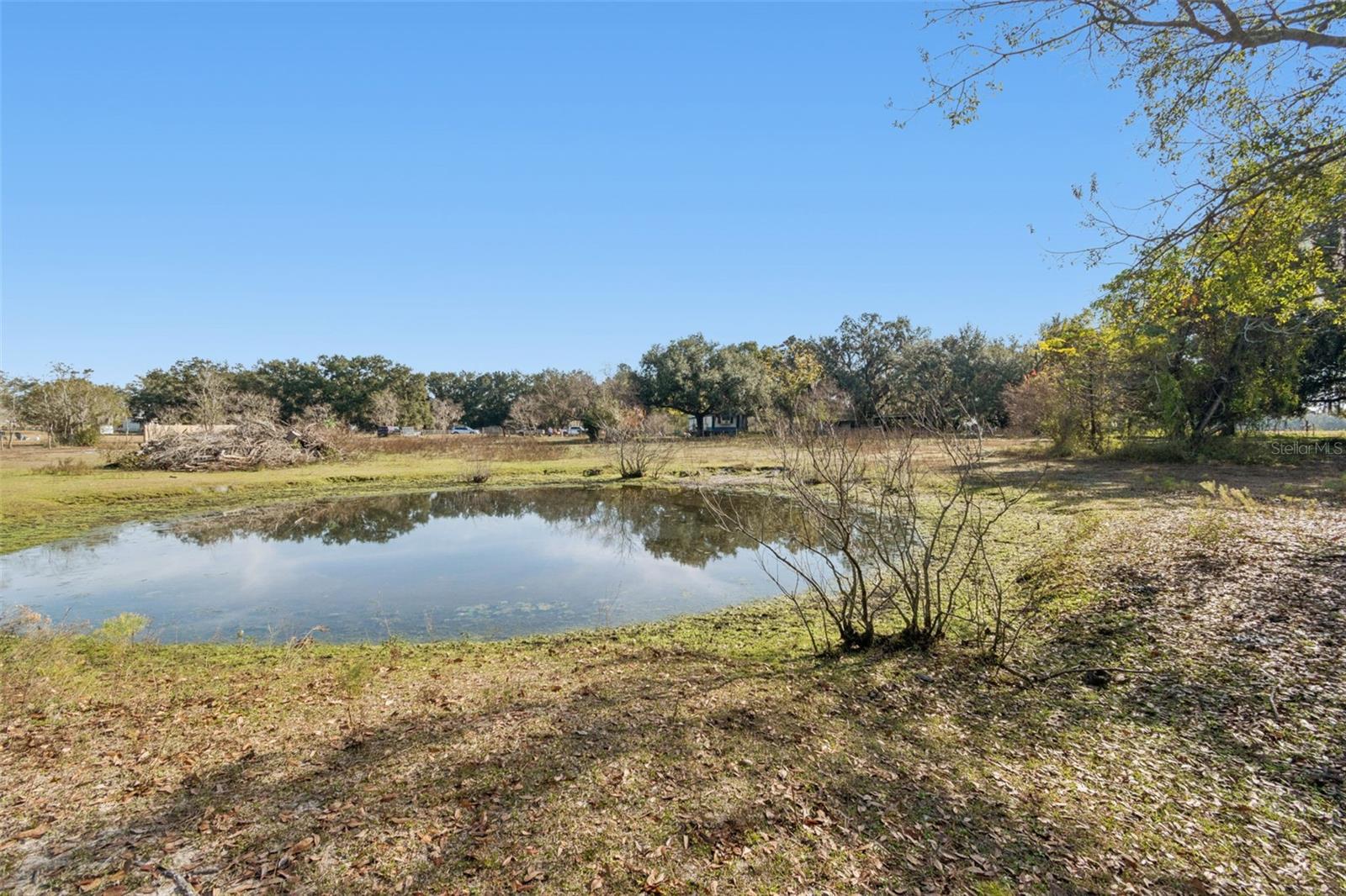 28538 RICE RD, SAN ANTONIO, FL — photo 36