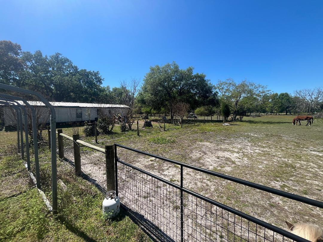 28538 RICE RD, SAN ANTONIO, FL — photo 4
