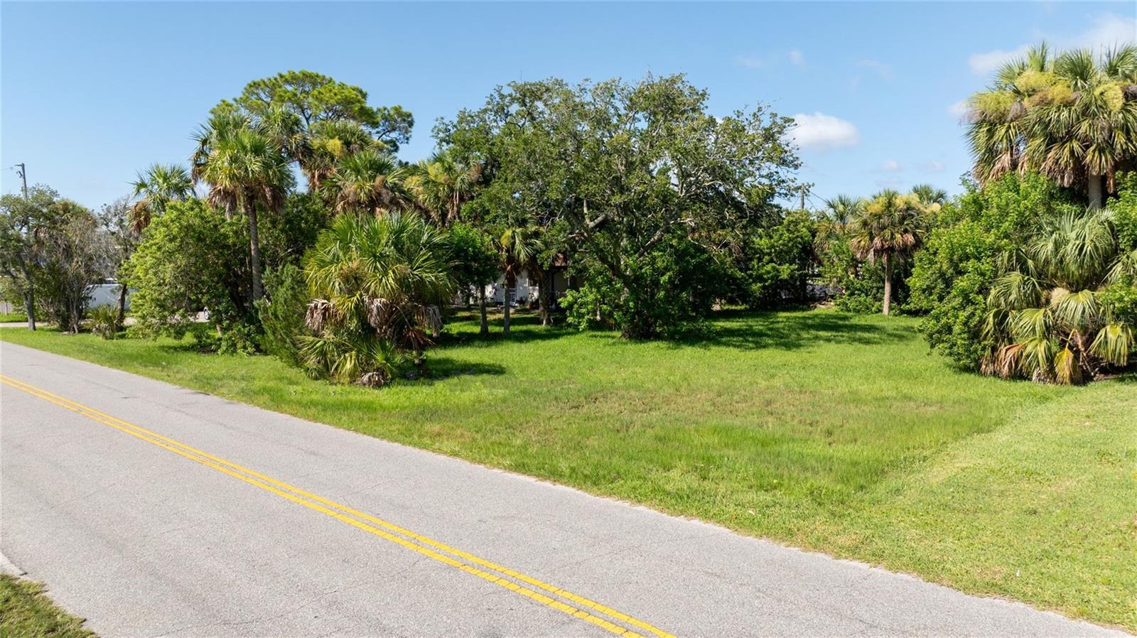 PALMETTO AVE, SOUTH DAYTONA, FL — photo 11