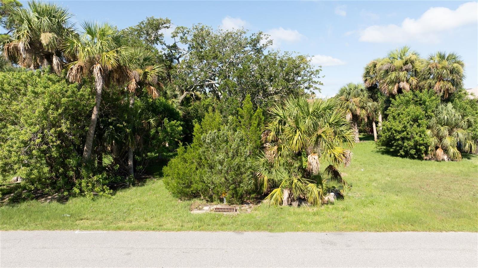 PALMETTO AVE, SOUTH DAYTONA, FL — photo 12