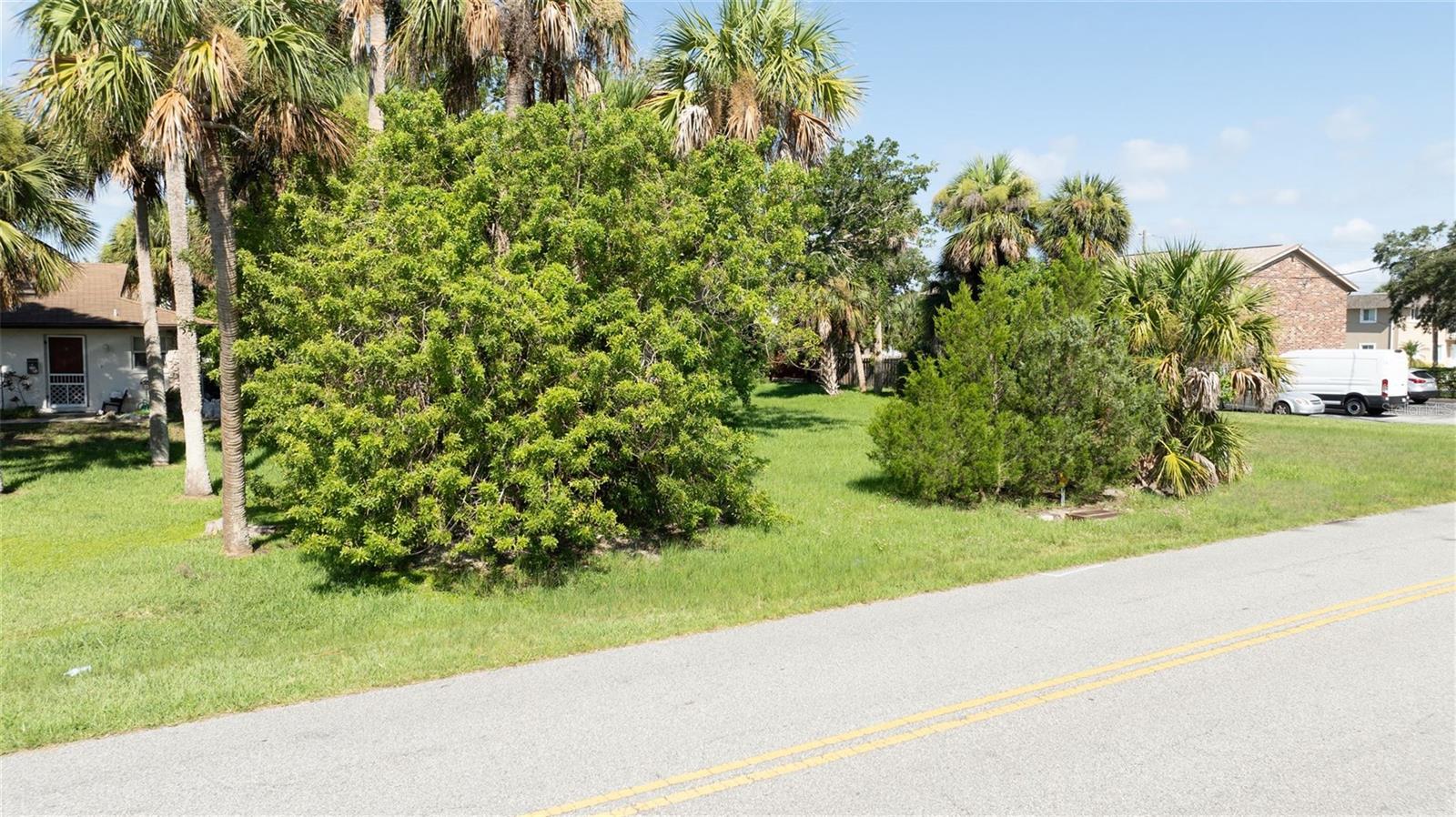 PALMETTO AVE, SOUTH DAYTONA, FL — photo 13