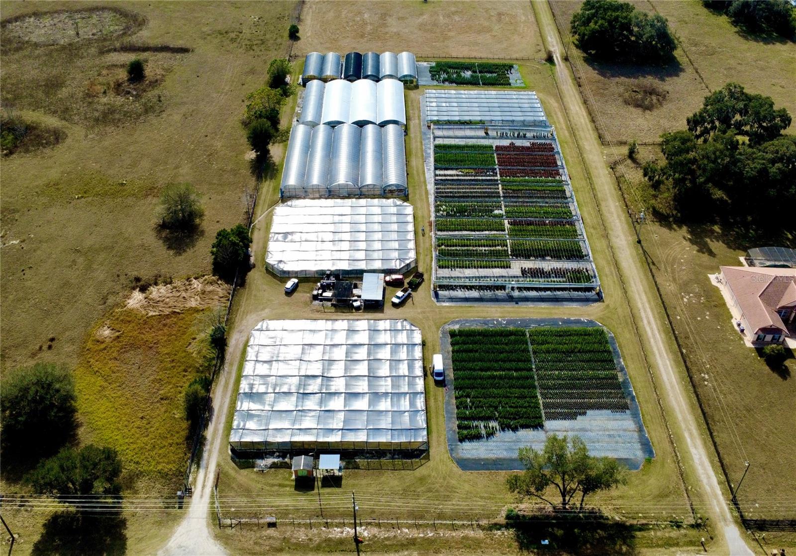 23010 WOLF BRANCH RD, SORRENTO, FL — photo 5