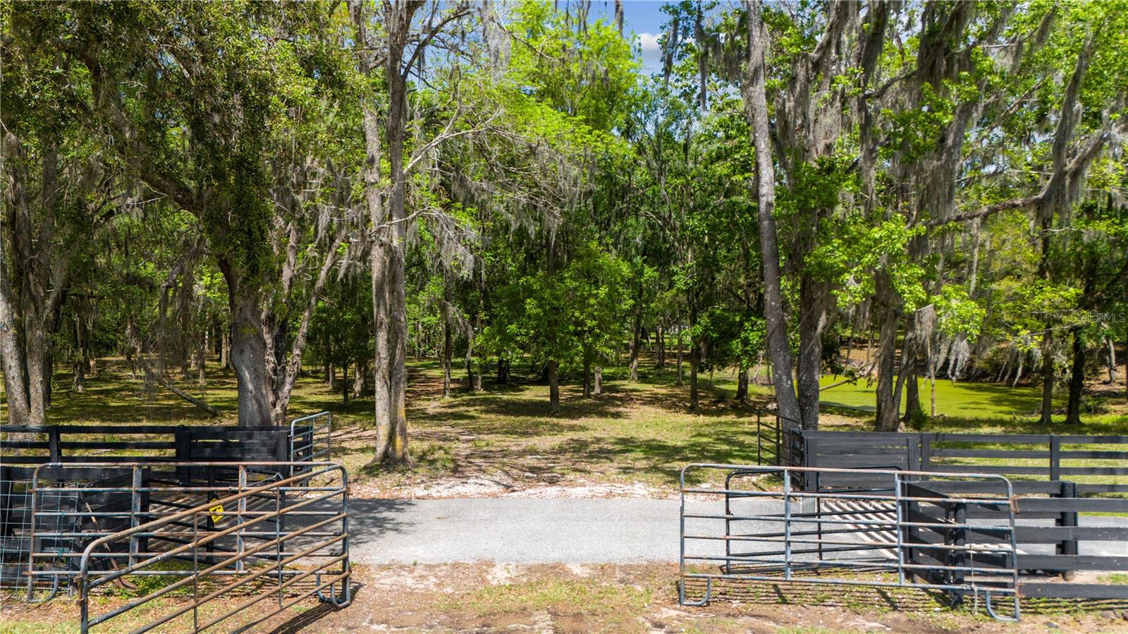 12345 CITRUS WAY, BROOKSVILLE, FL — photo 101