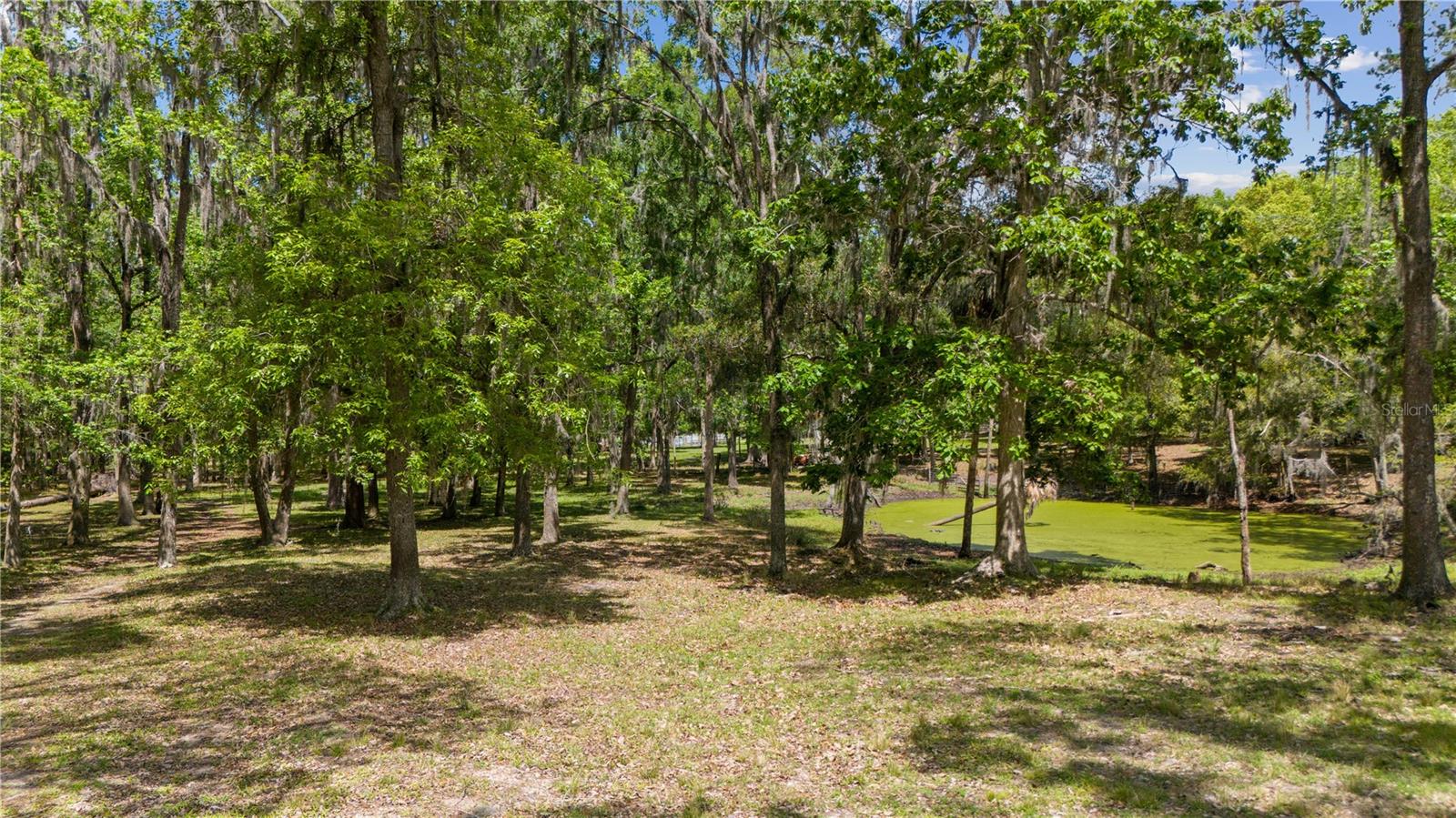 12345 CITRUS WAY, BROOKSVILLE, FL — photo 103
