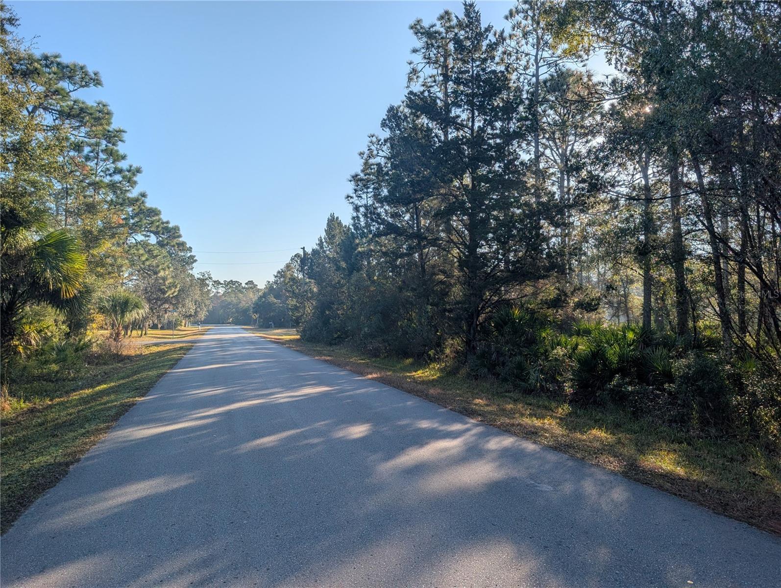 W ROSEDALE DR, HOMOSASSA, FL — photo 5