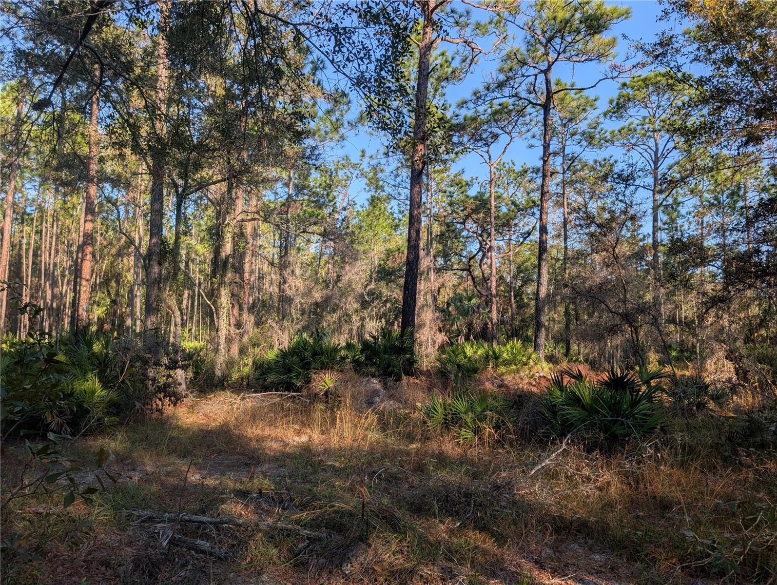 W ROSEDALE DR, HOMOSASSA, FL — photo 6