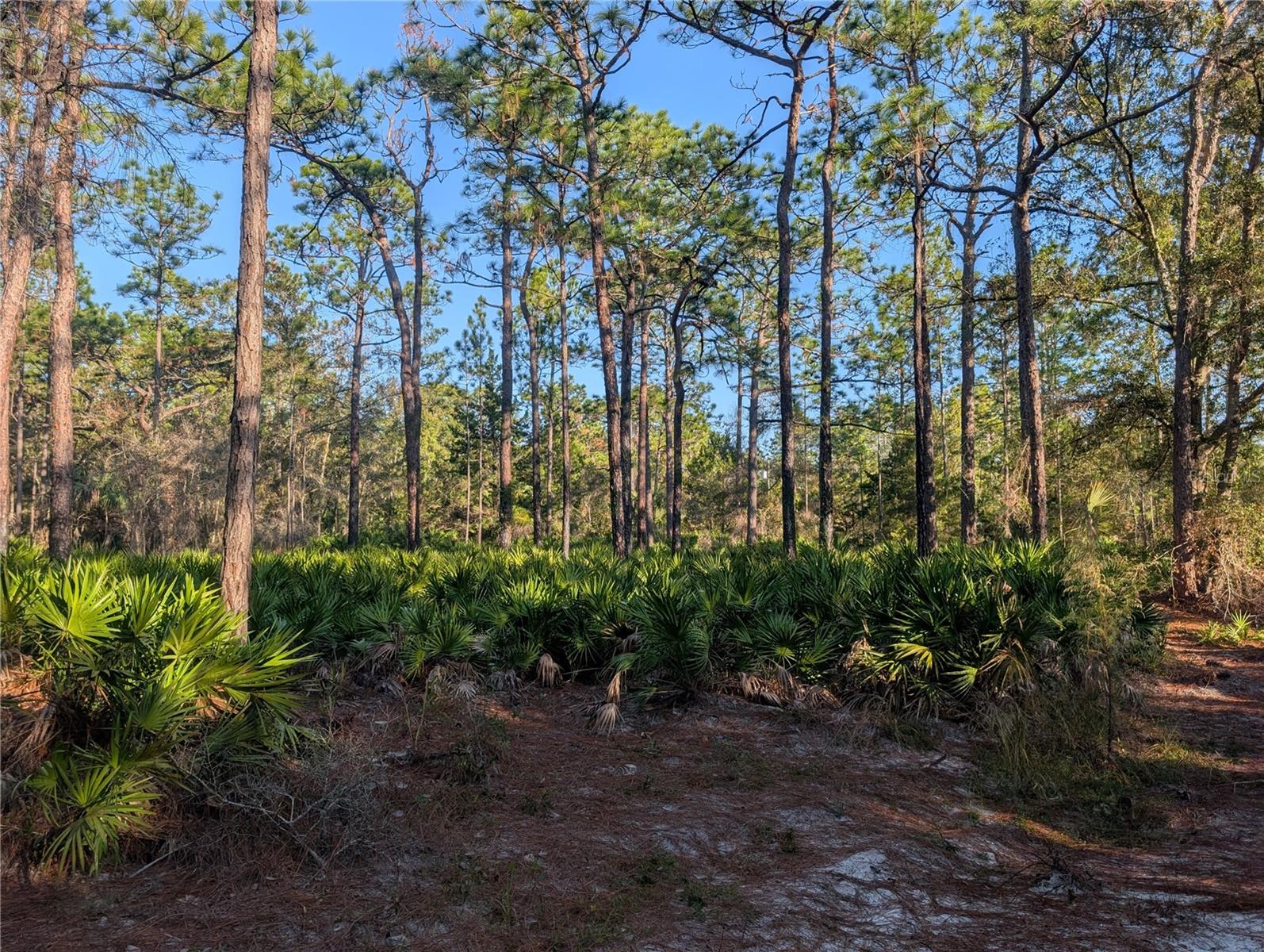 W ROSEDALE DR, HOMOSASSA, FL — photo 7