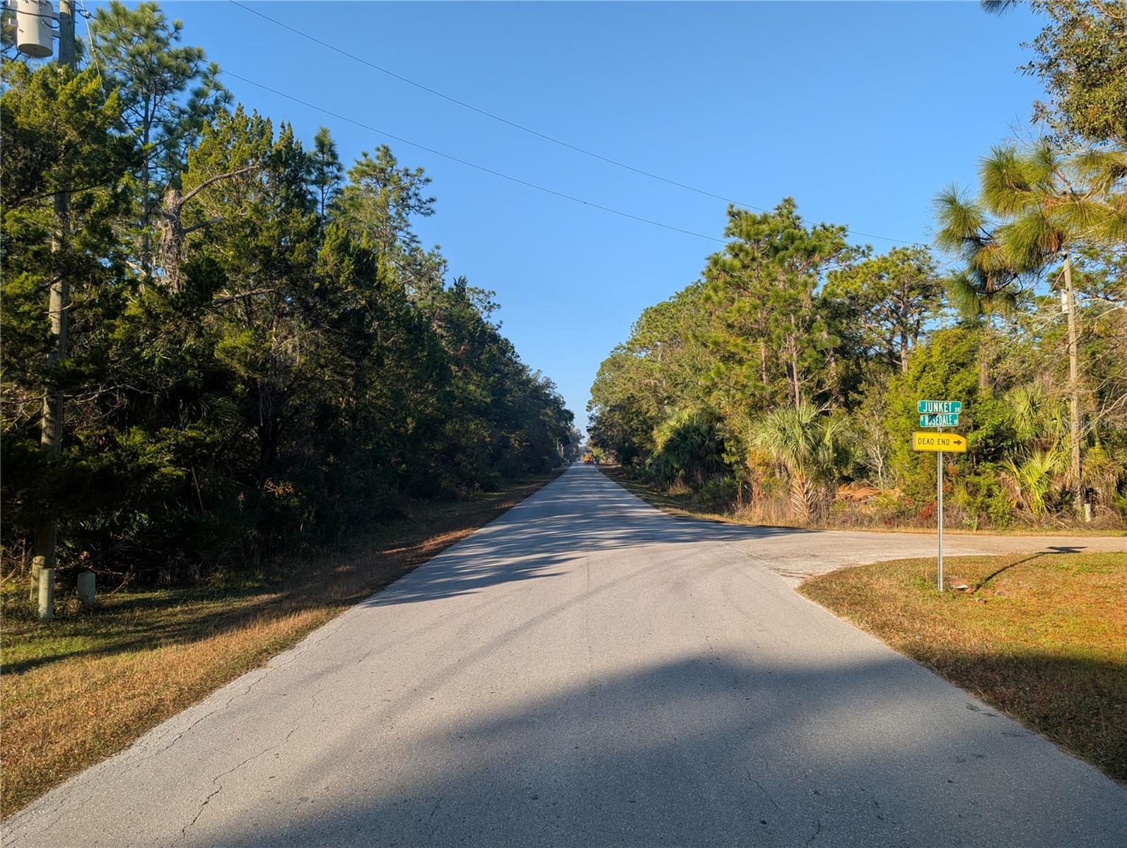 W ROSEDALE DR, HOMOSASSA, FL — photo 3