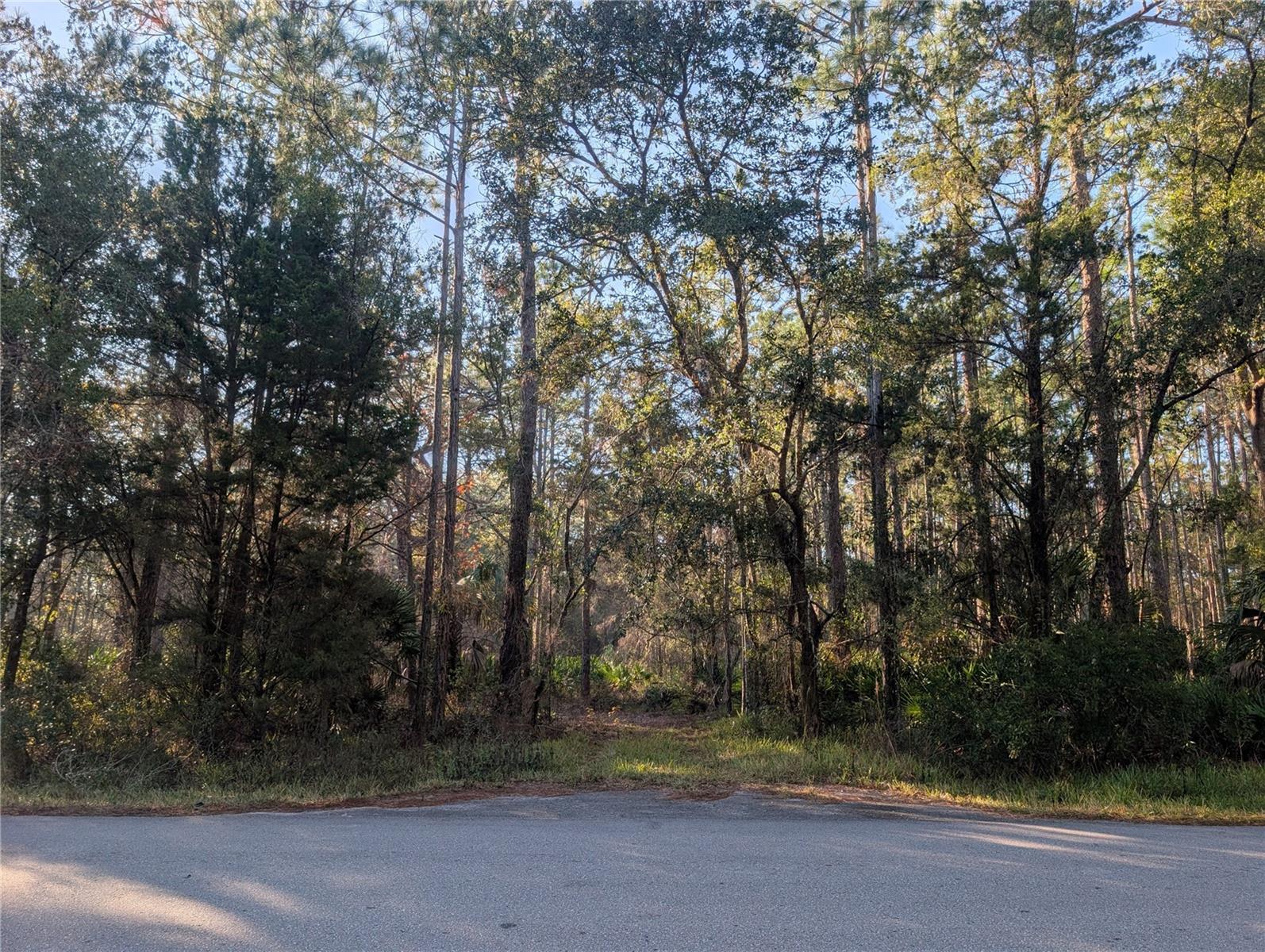 W ROSEDALE DR, HOMOSASSA, FL — photo 4