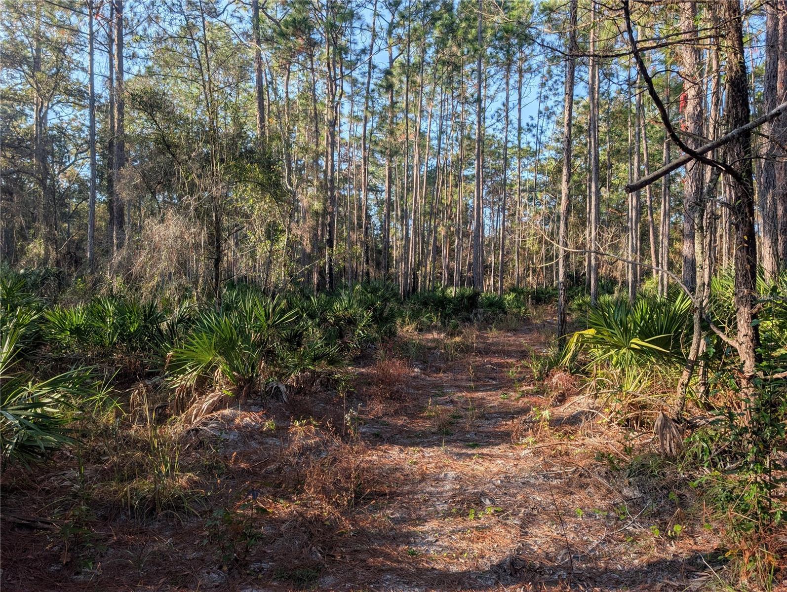 W ROSEDALE DR, HOMOSASSA, FL — photo 6