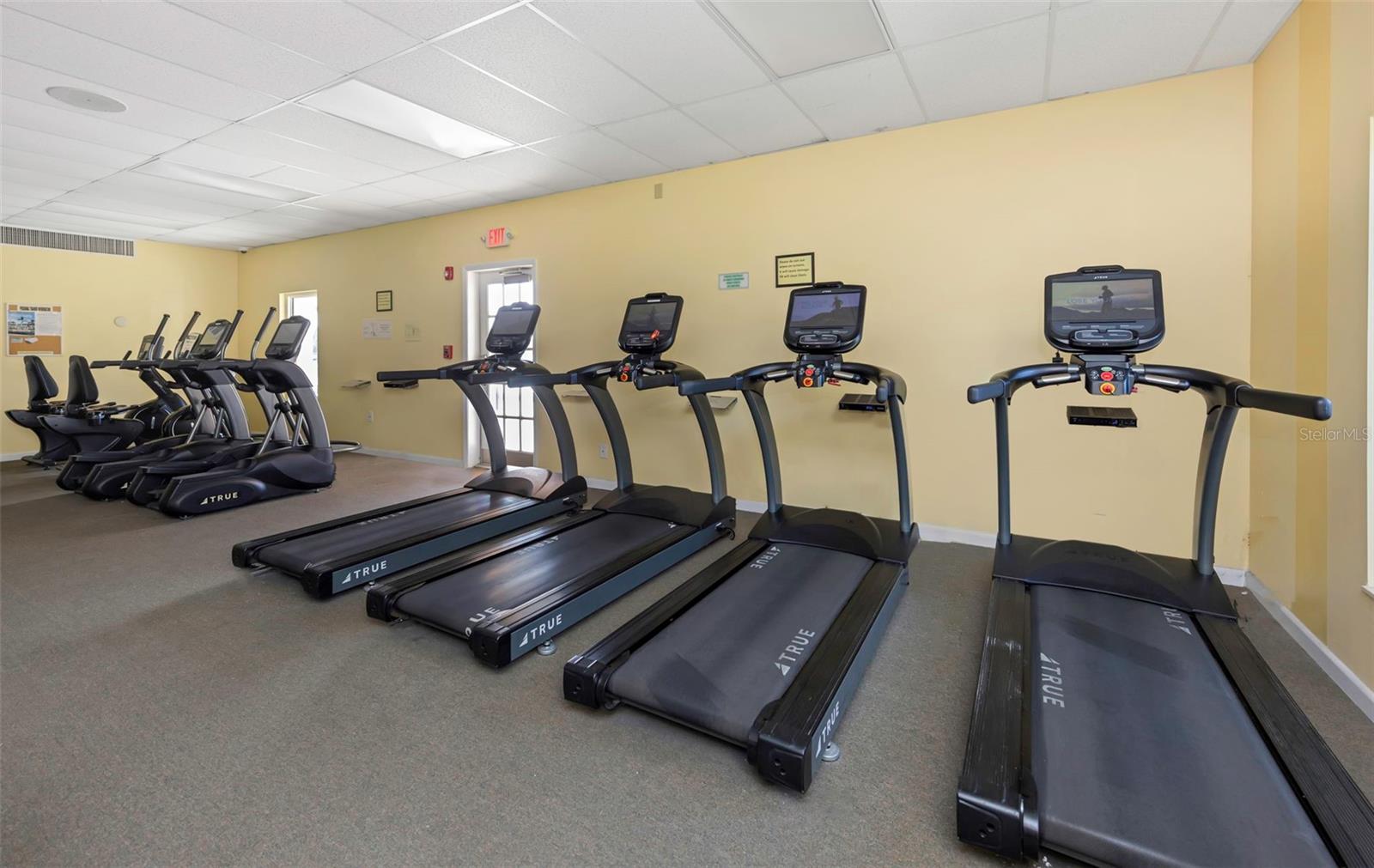 5020 BRITTANY DR S #224, ST PETERSBURG, FL — photo 41