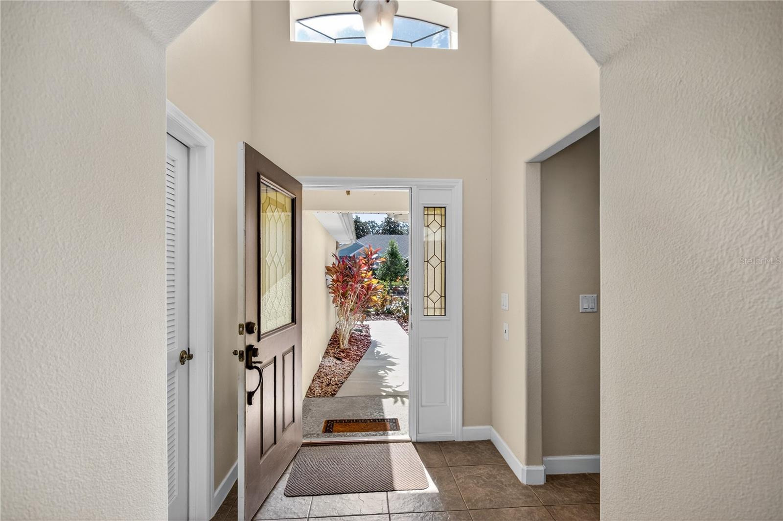 3003 NEW HAVEN PL, MOUNT DORA, FL — photo 9