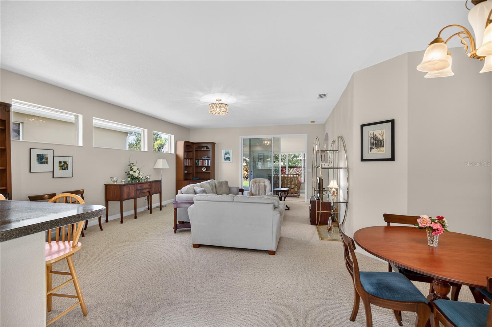3003 NEW HAVEN PL, MOUNT DORA, FL — photo 11