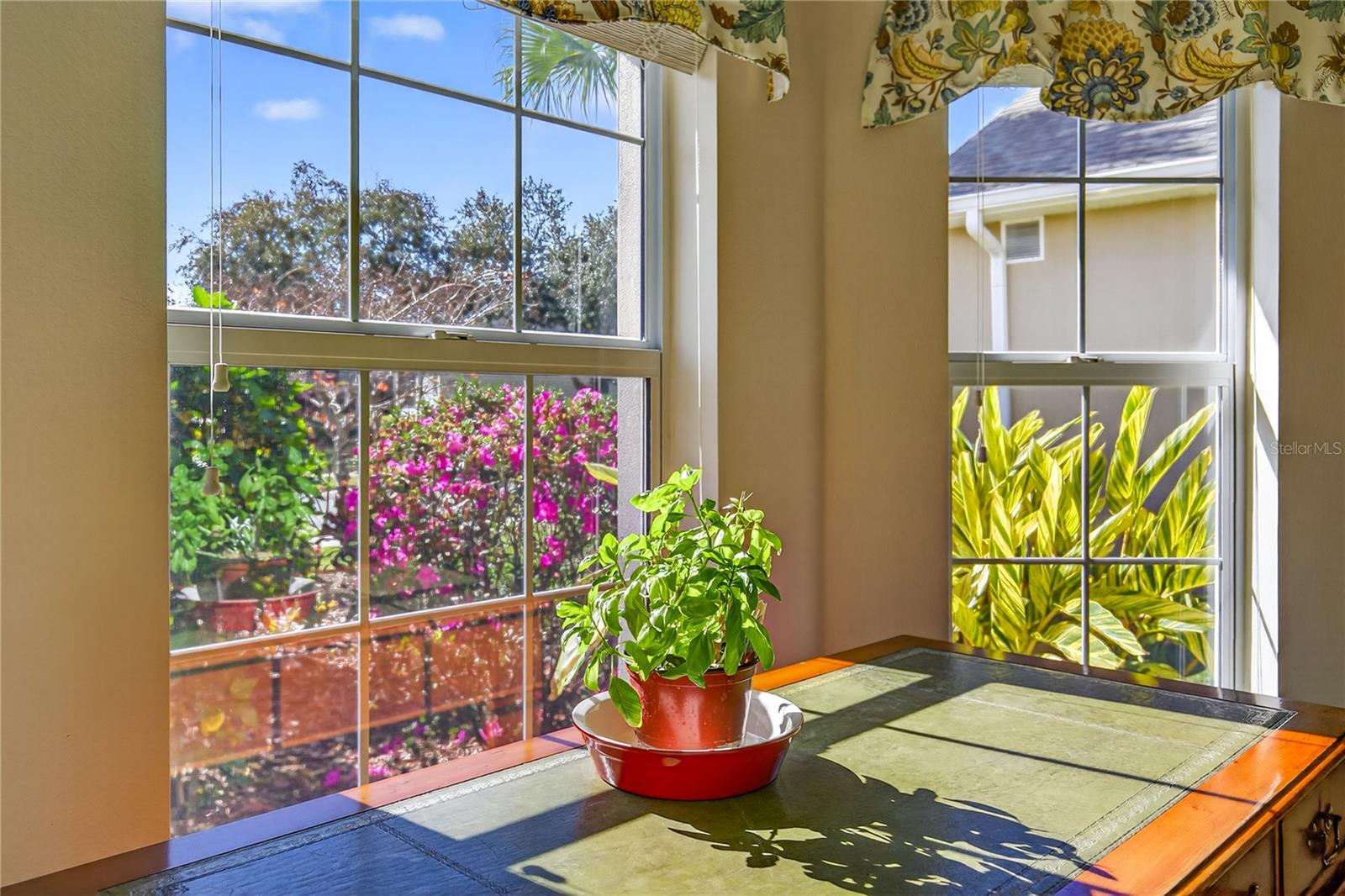 3003 NEW HAVEN PL, MOUNT DORA, FL — photo 25