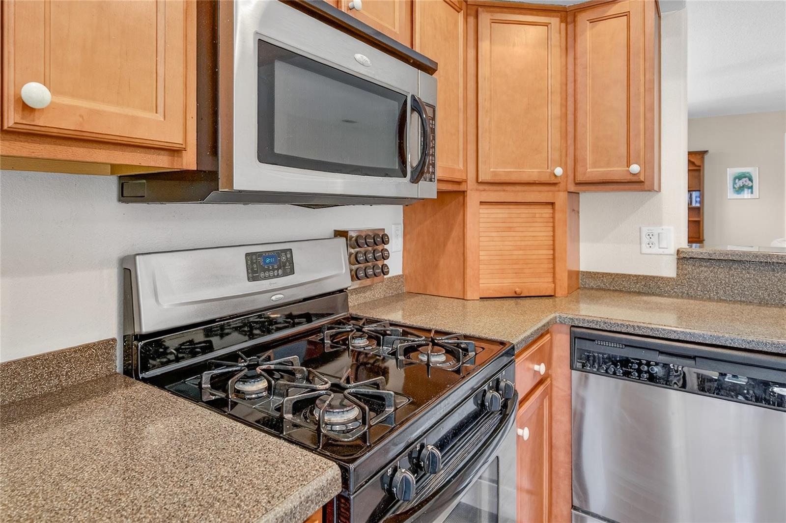 3003 NEW HAVEN PL, MOUNT DORA, FL — photo 28