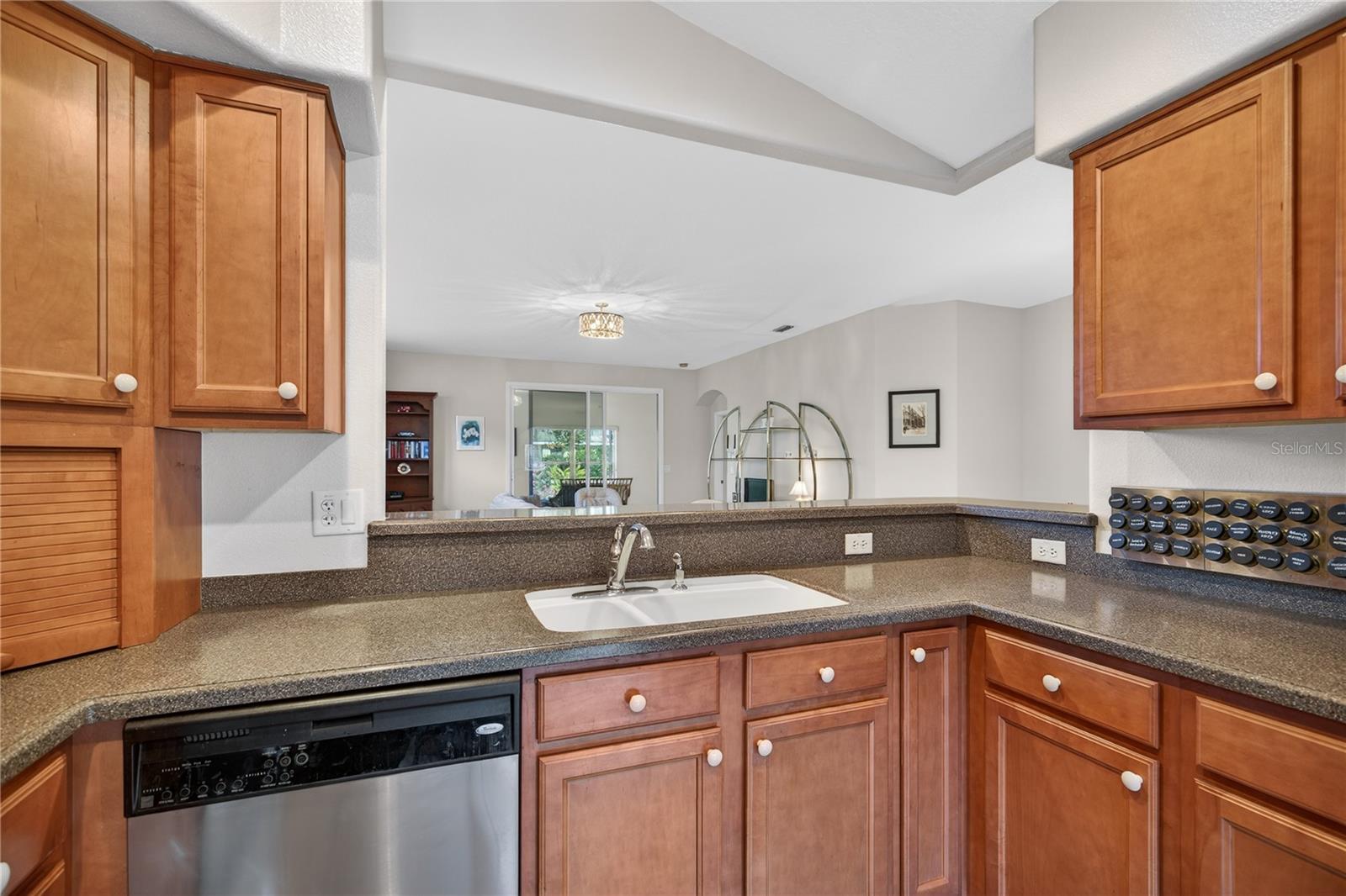 3003 NEW HAVEN PL, MOUNT DORA, FL — photo 29