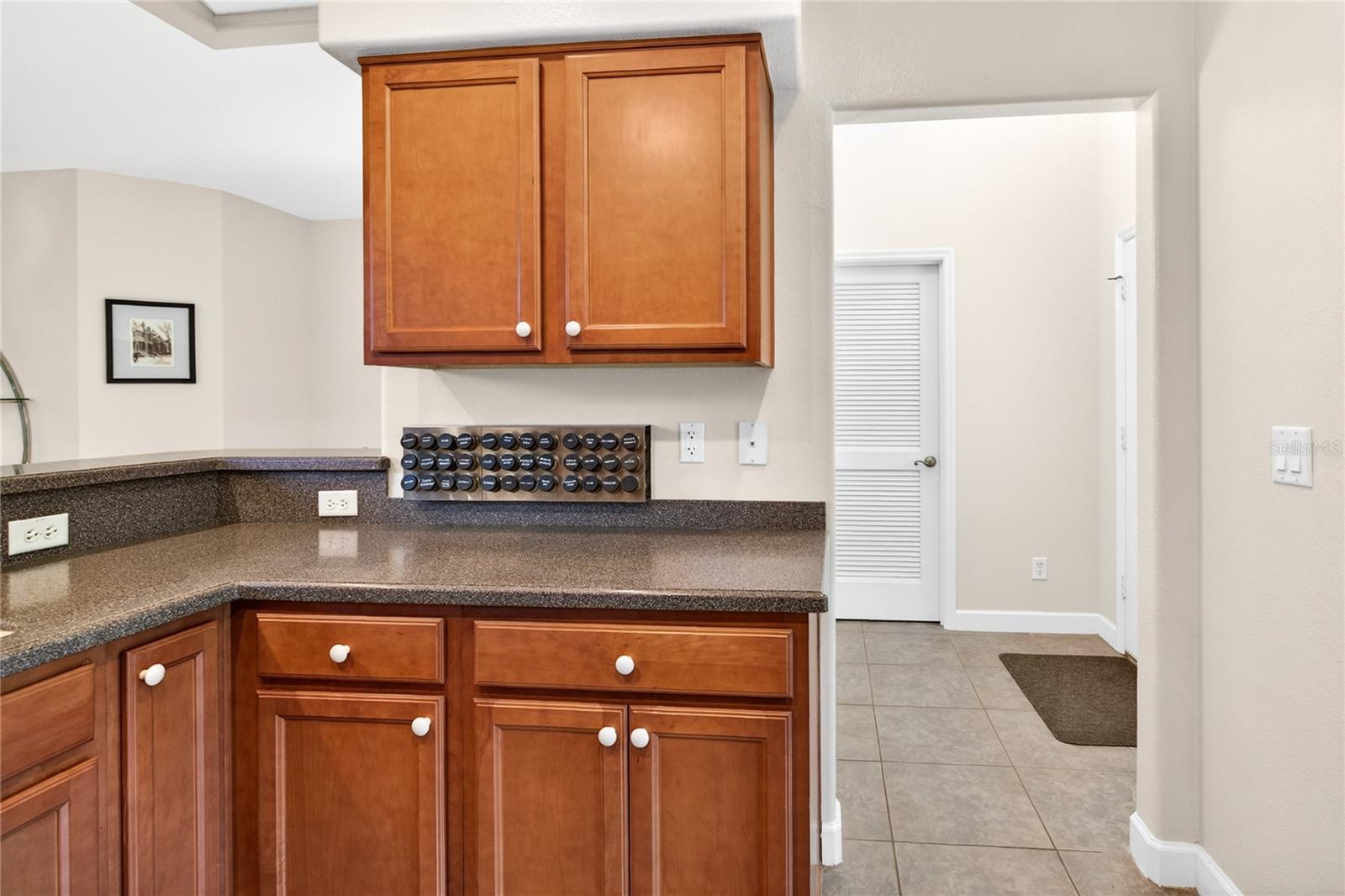 3003 NEW HAVEN PL, MOUNT DORA, FL — photo 31