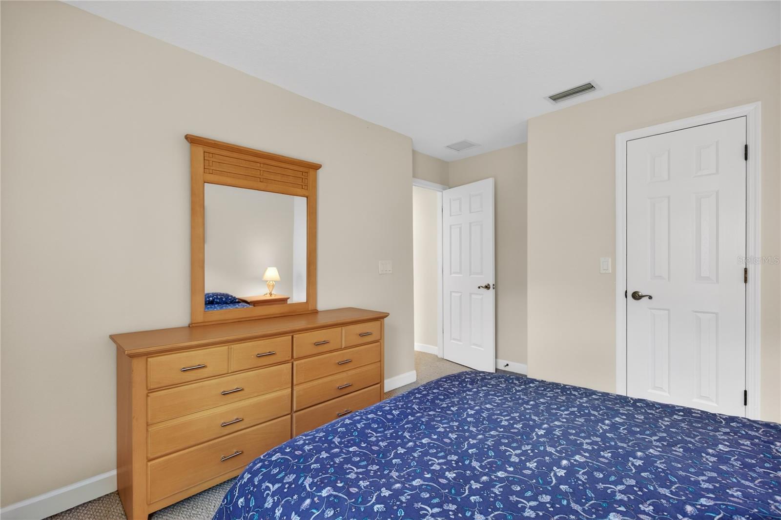 3003 NEW HAVEN PL, MOUNT DORA, FL — photo 56