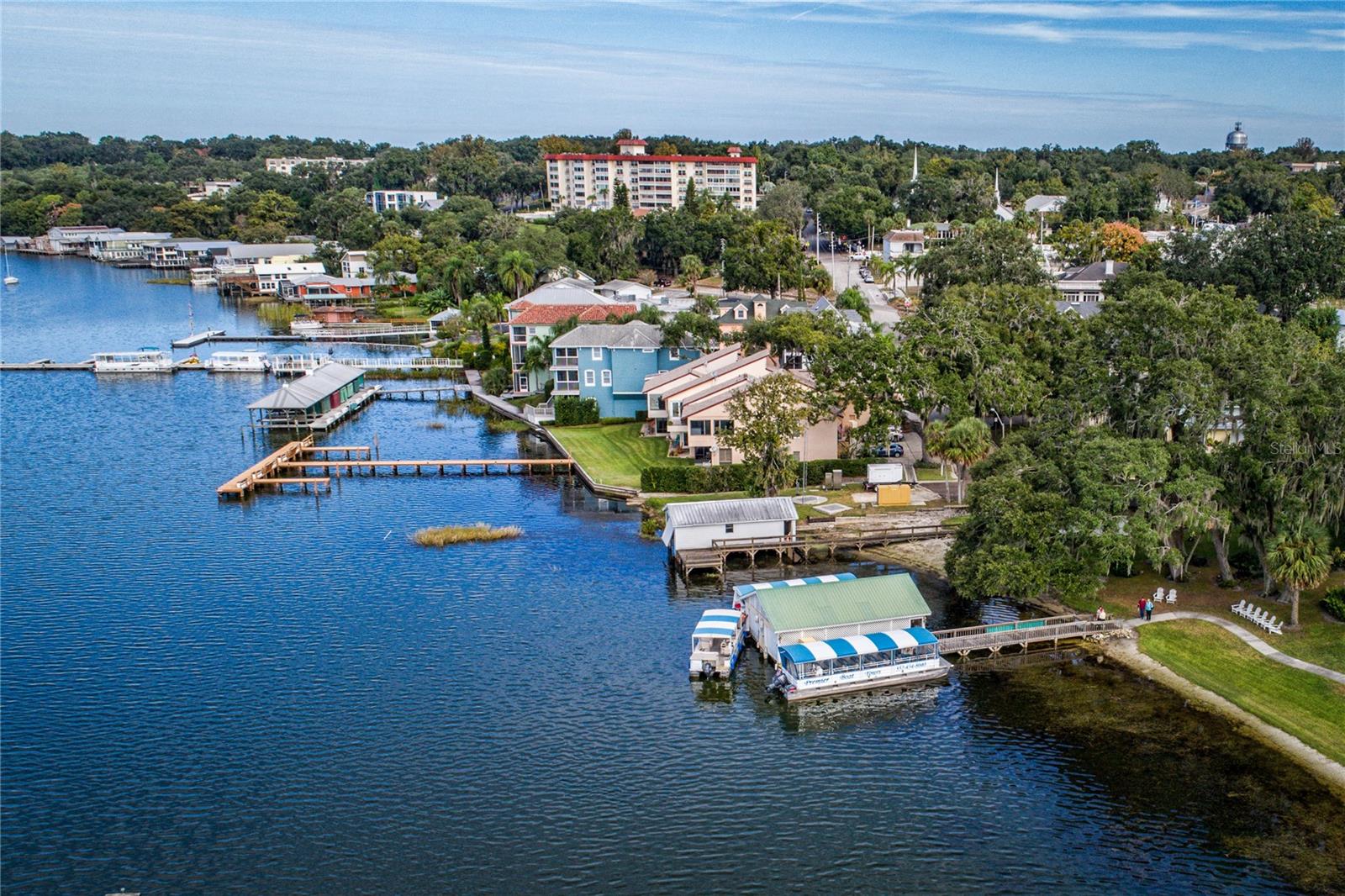3003 NEW HAVEN PL, MOUNT DORA, FL — photo 94
