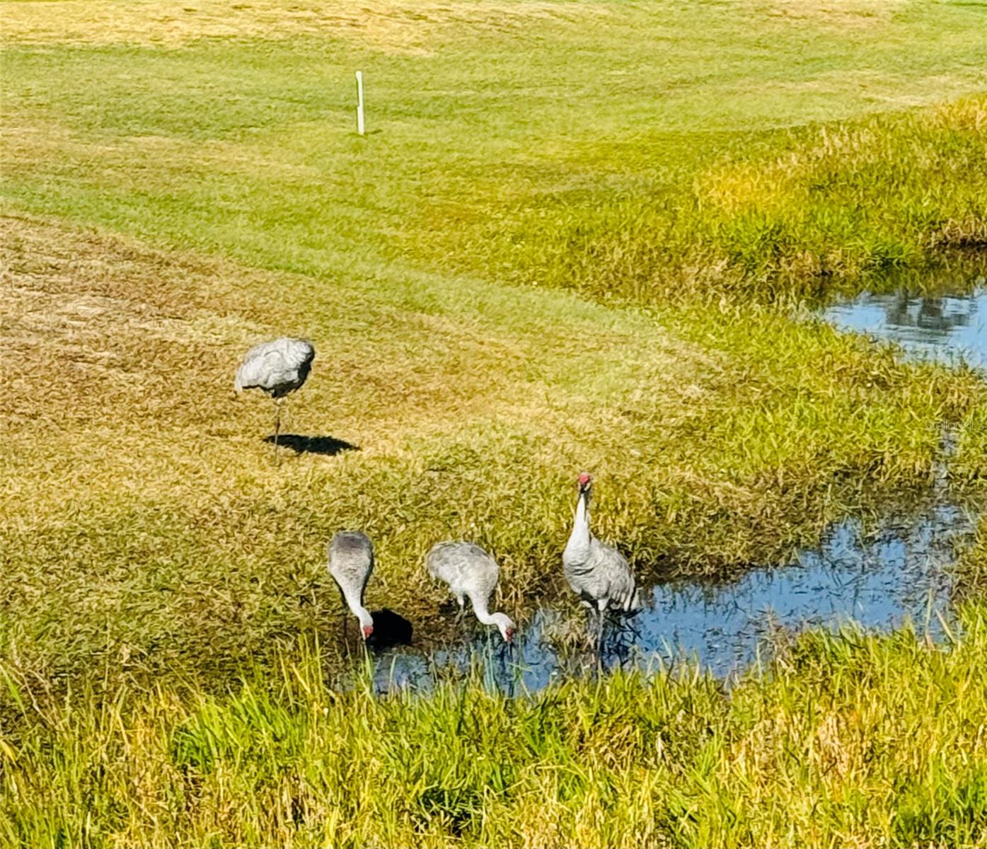 300 ROYAL TROON LOOP, DAVENPORT, FL — photo 40