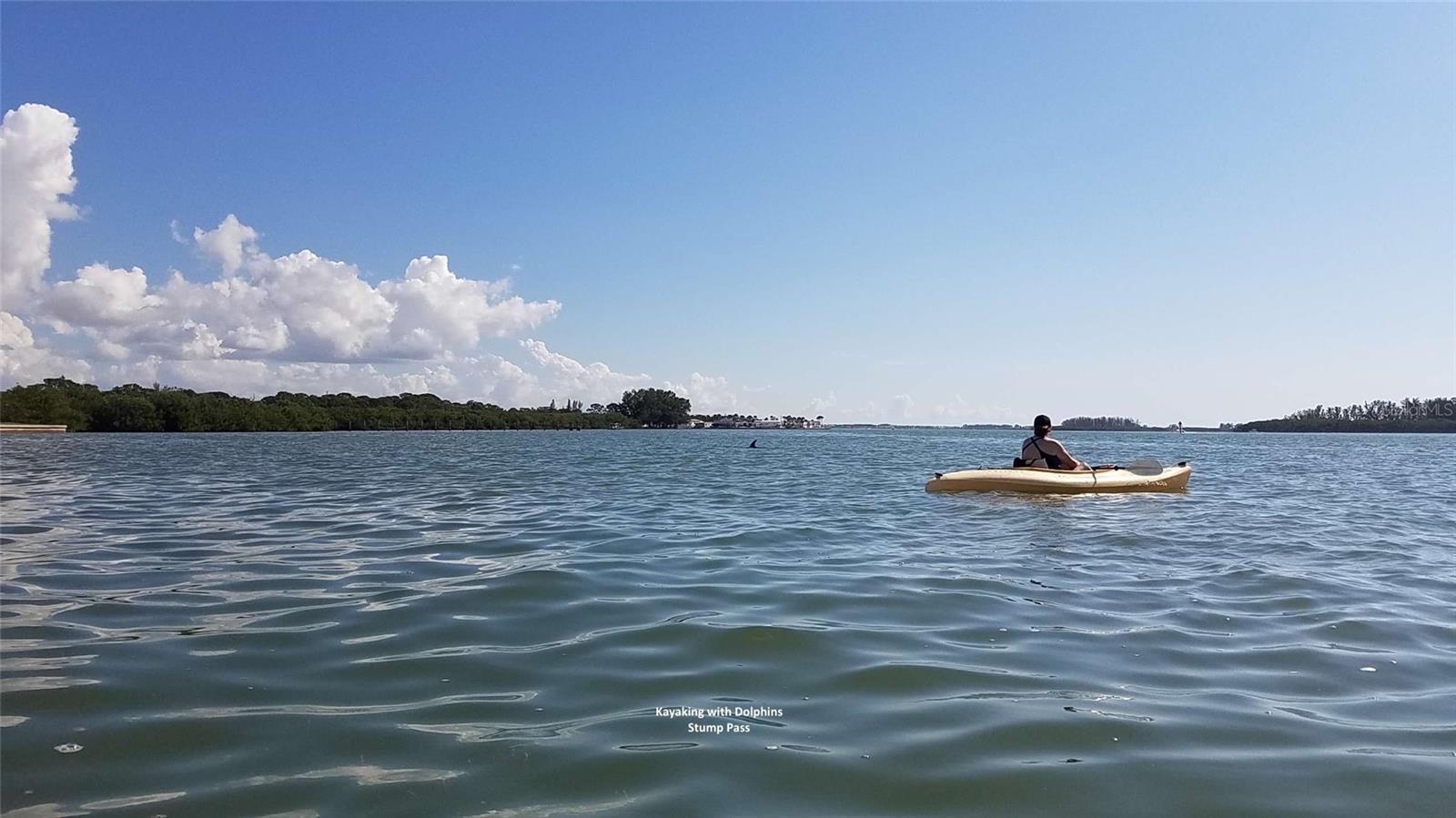 7500 PARK POINTE DR #42, ENGLEWOOD, FL — photo 18