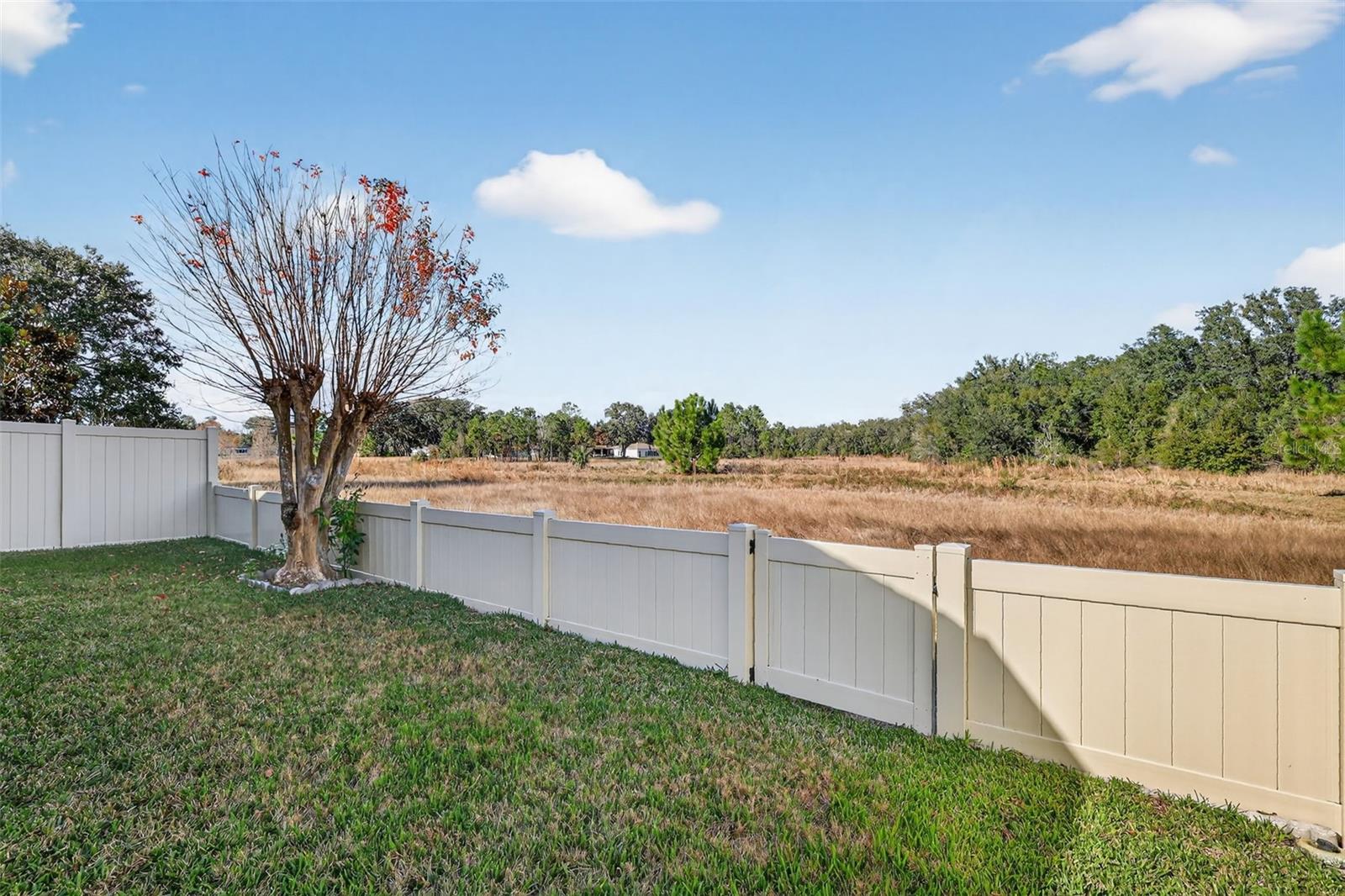 4900 HERON RUN CIR, LEESBURG, FL — photo 51