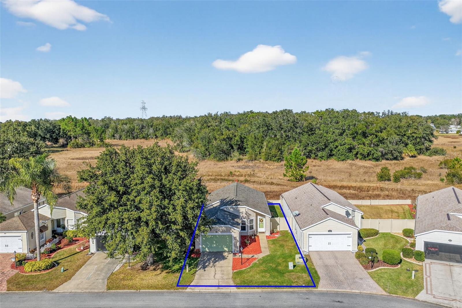4900 HERON RUN CIR, LEESBURG, FL — photo 54