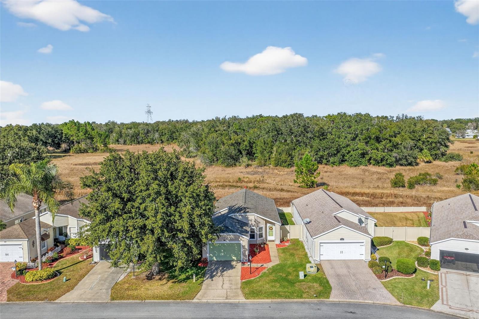 4900 HERON RUN CIR, LEESBURG, FL — photo 55