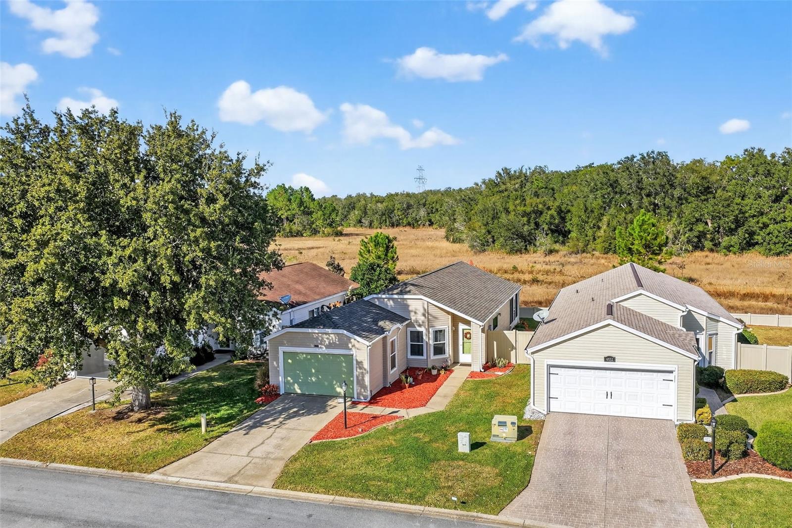 4900 HERON RUN CIR, LEESBURG, FL — photo 58