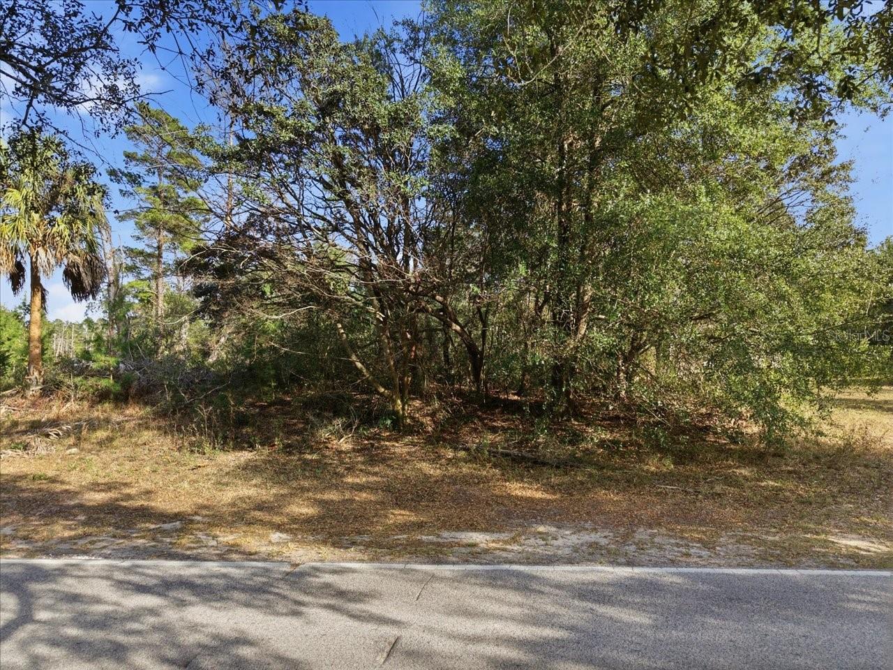 118 OAK VILLAGE BLVD, HOMOSASSA, FL — photo 4