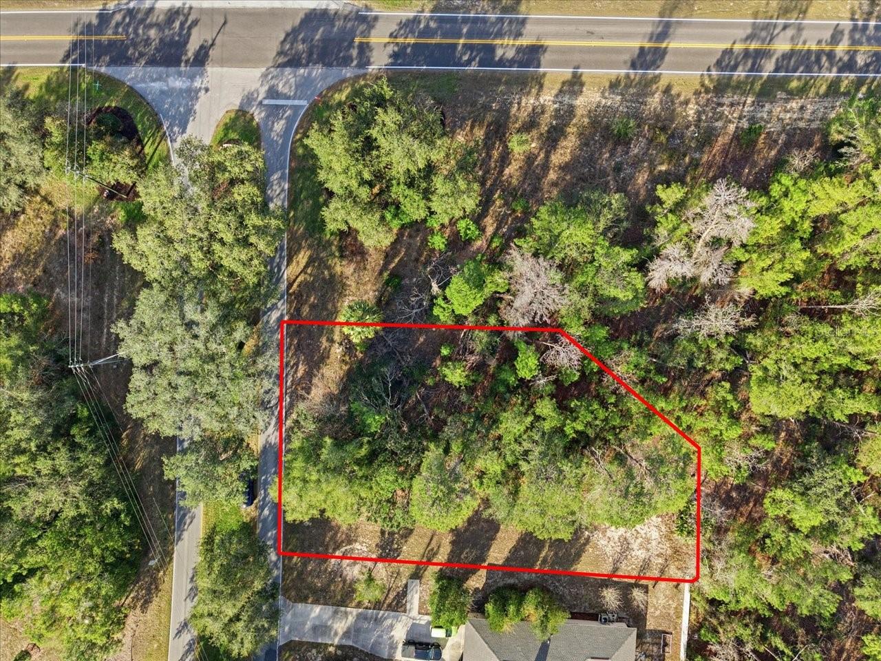 118 OAK VILLAGE BLVD, HOMOSASSA, FL — photo 5