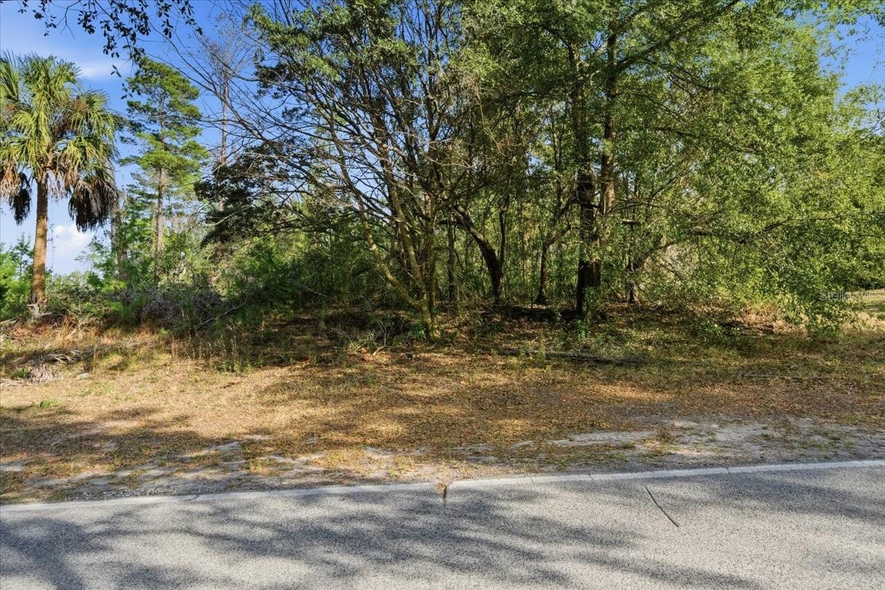 118 OAK VILLAGE BLVD, HOMOSASSA, FL — photo 8