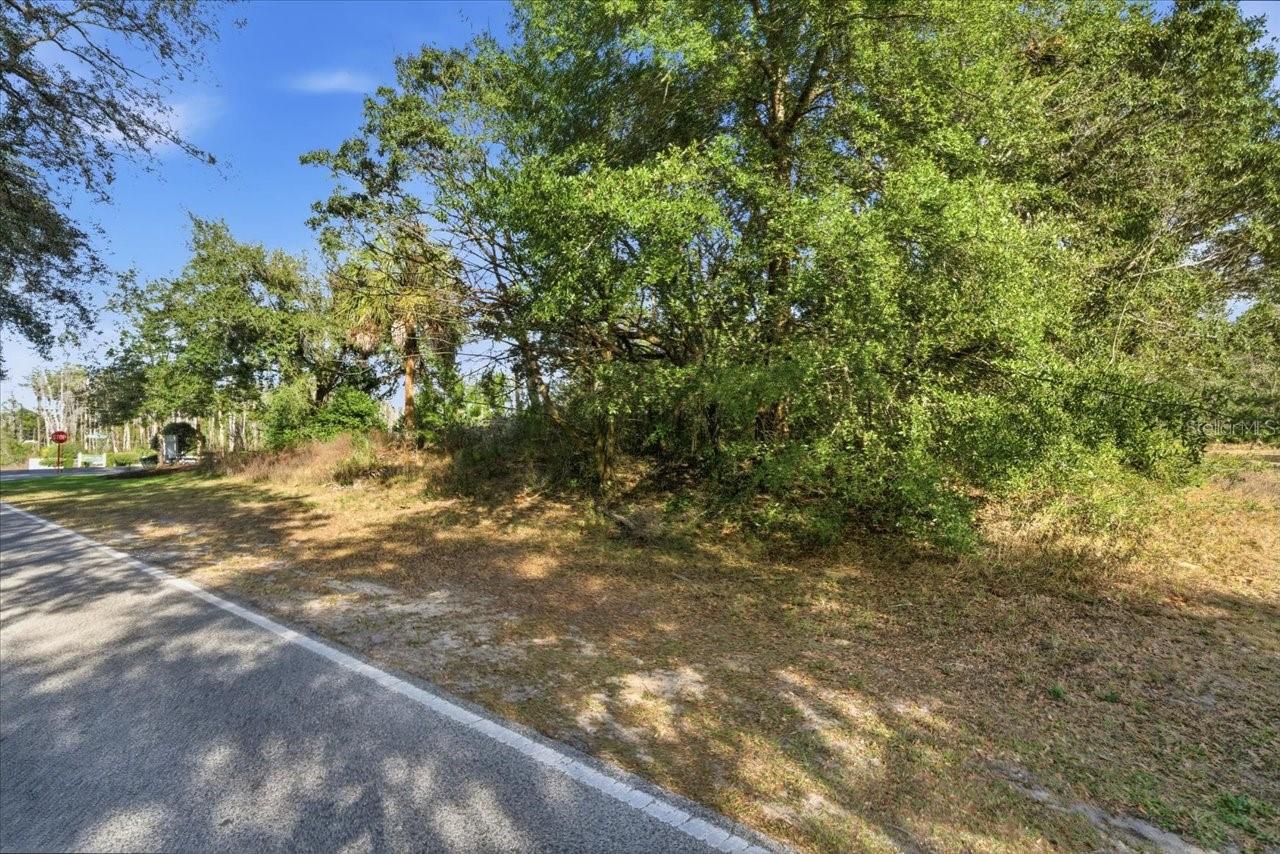 118 OAK VILLAGE BLVD, HOMOSASSA, FL — photo 9