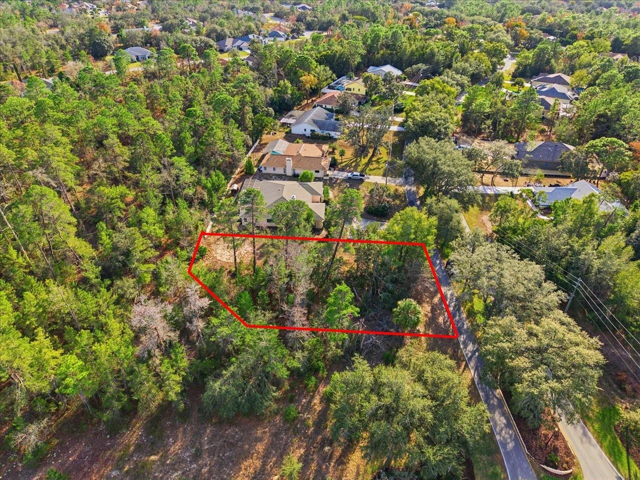 118 OAK VILLAGE BLVD, HOMOSASSA, FL — photo 16