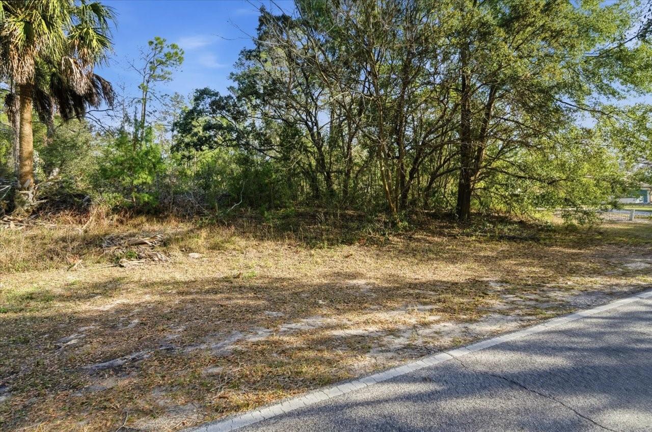 118 OAK VILLAGE BLVD, HOMOSASSA, FL — photo 41