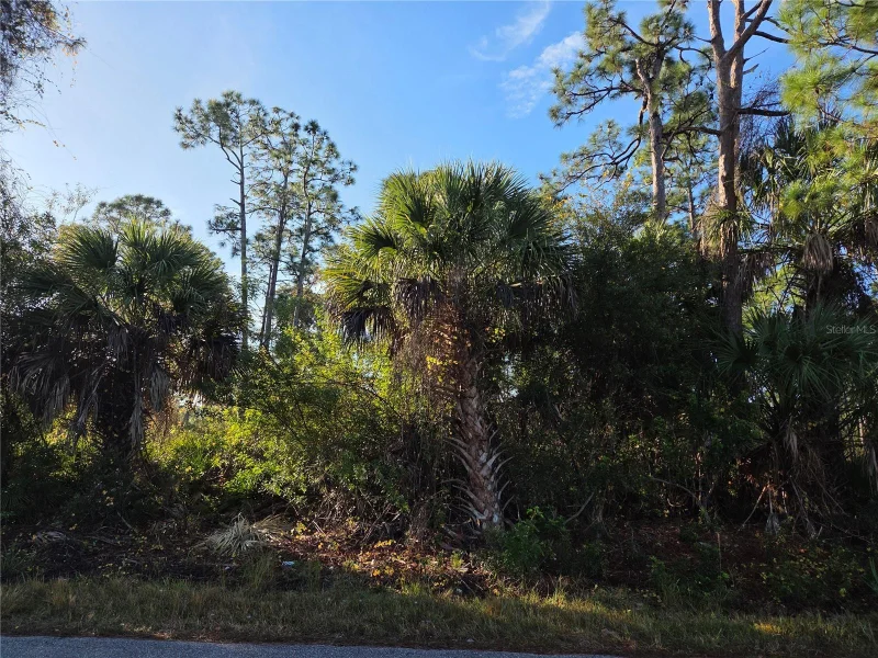 23507 SPENCER CT, PUNTA GORDA, FL