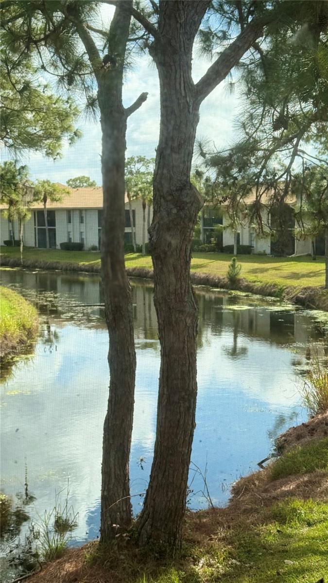 4640 WEYBRIDGE #12, SARASOTA, FL — photo 6
