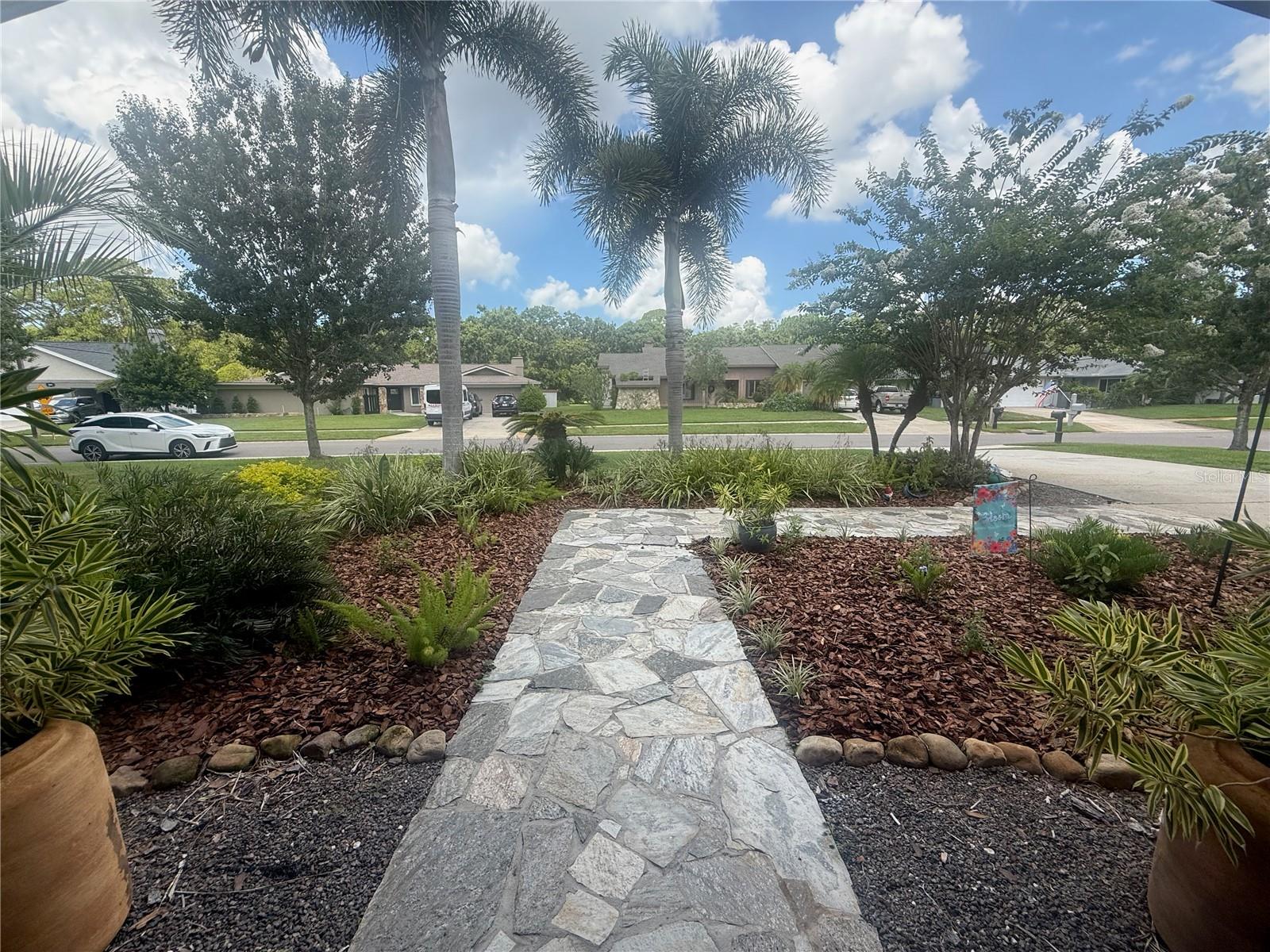 2215 TONIWOOD LN, PALM HARBOR, FL — photo 7