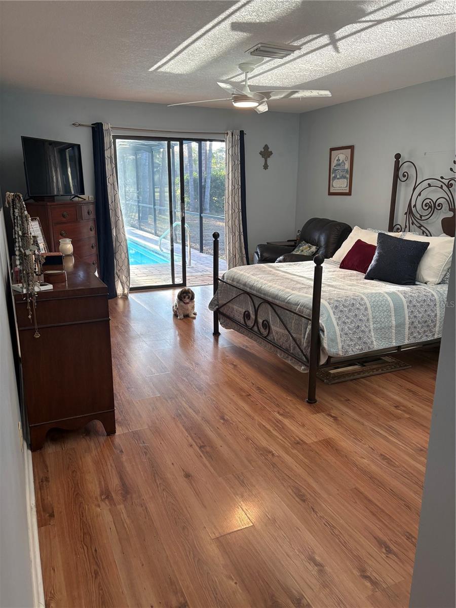 2215 TONIWOOD LN, PALM HARBOR, FL — photo 24