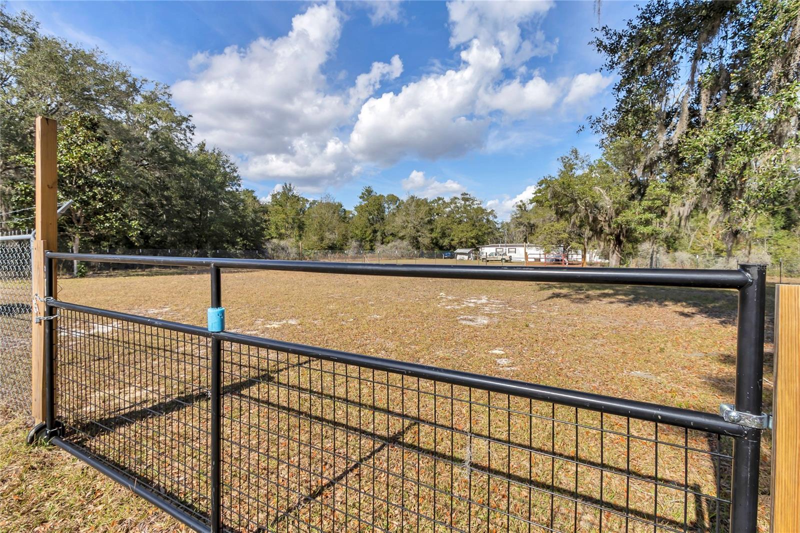 3003 NE 165TH PL, CITRA, FL — photo 40