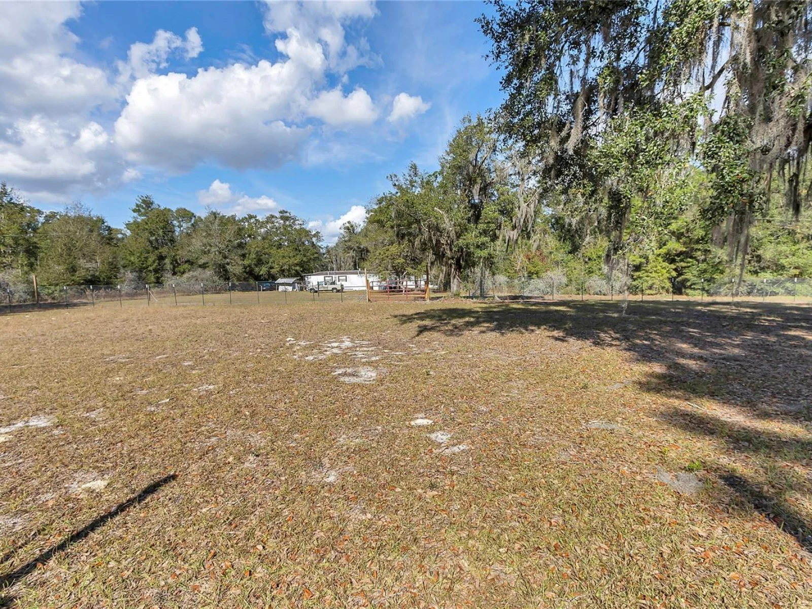 3003 NE 165TH PL, CITRA, FL — photo 44