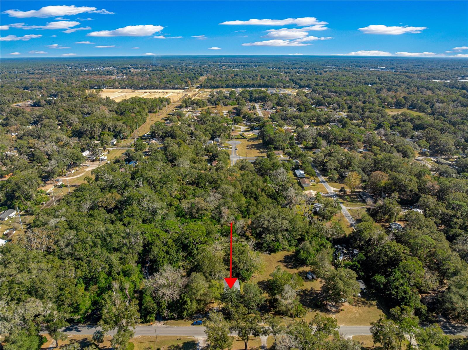 2917 NE 14TH AVE, OCALA, FL — photo 15