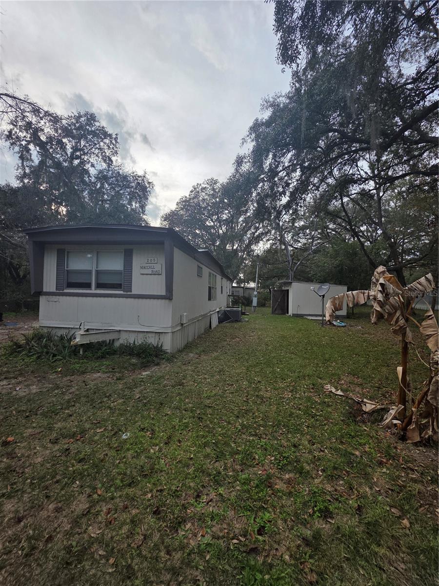 205 LITTLE STAR RD, HAWTHORNE, FL — photo 5