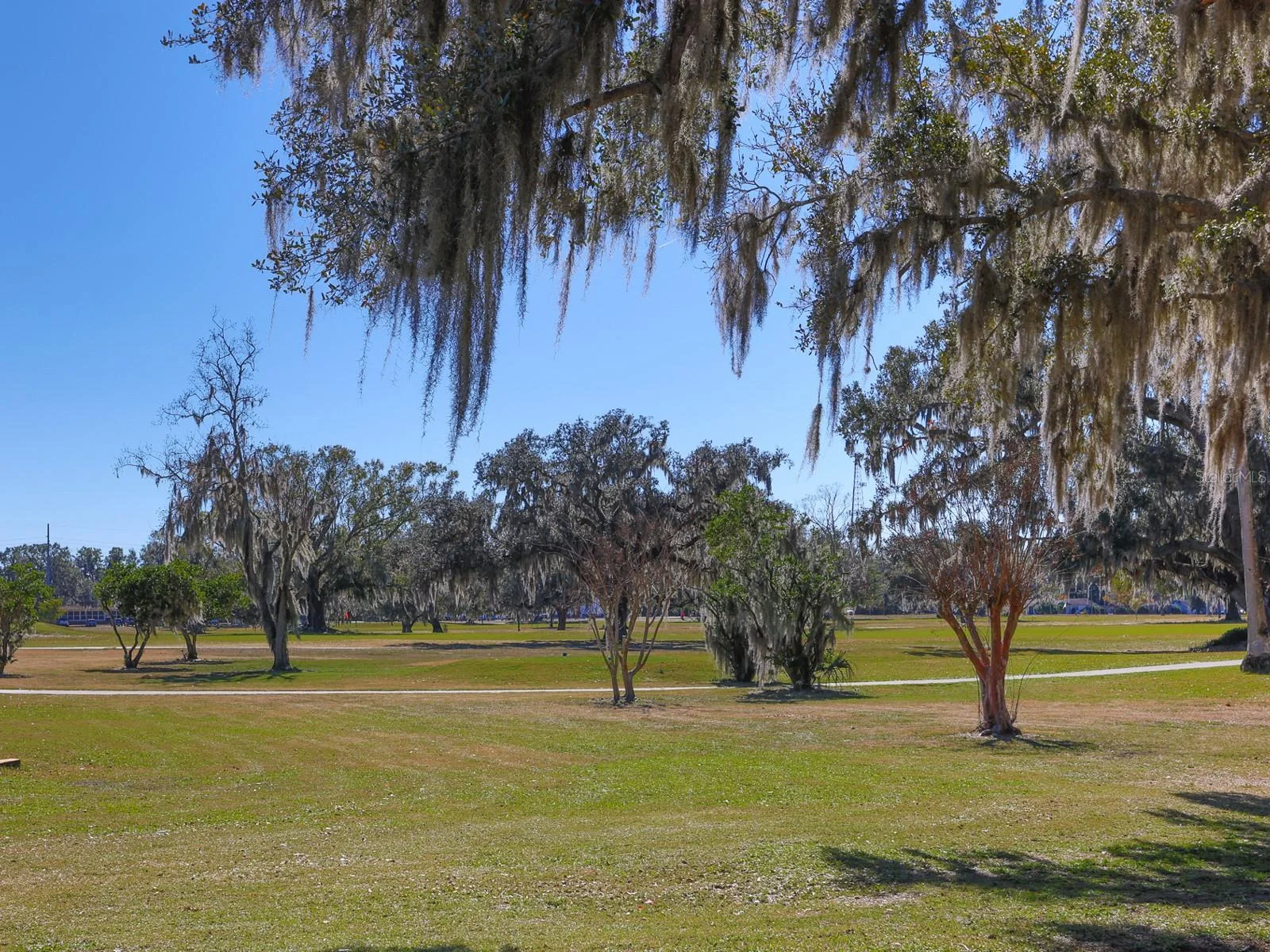 2140 E MAIN ST, BARTOW, FL — photo 27