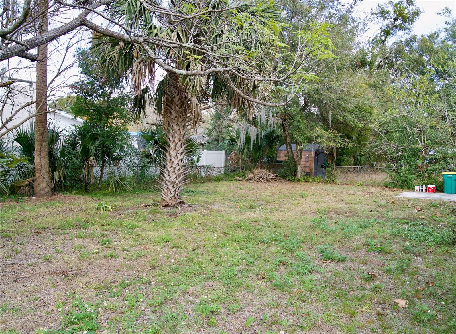 1537 JEFFERSON DR, MOUNT DORA, FL — photo 38