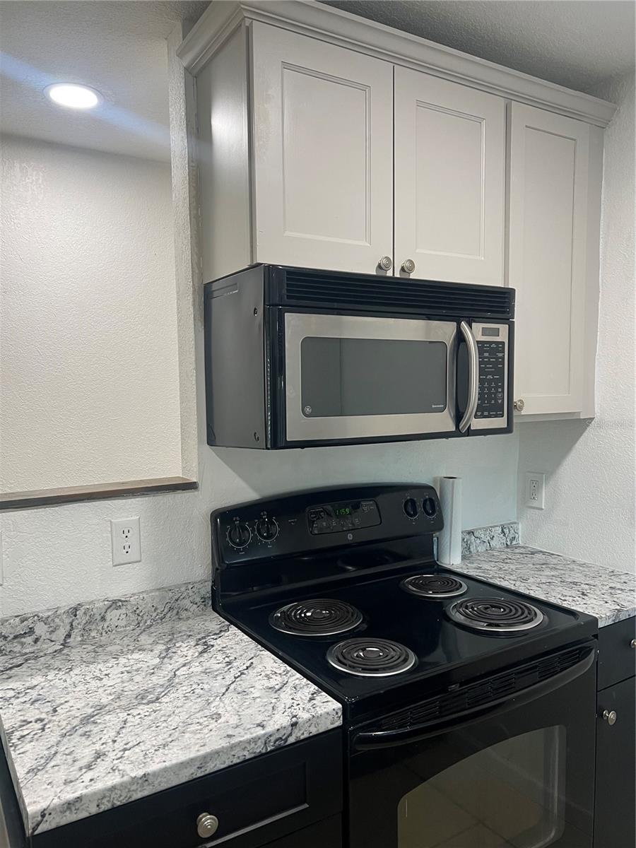 1537 JEFFERSON DR, MOUNT DORA, FL — photo 14