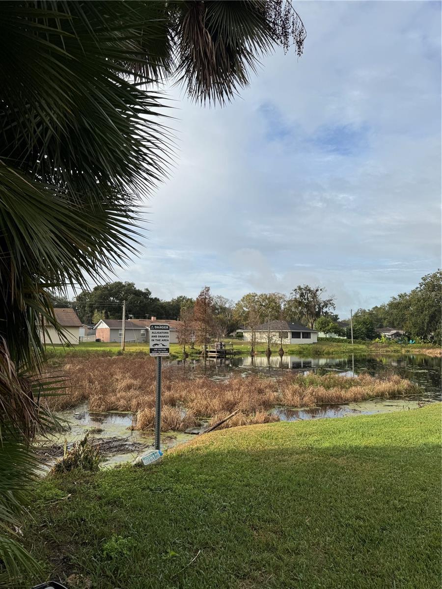 2962 MORGAN COMBEE RD, LAKELAND, FL — photo 14