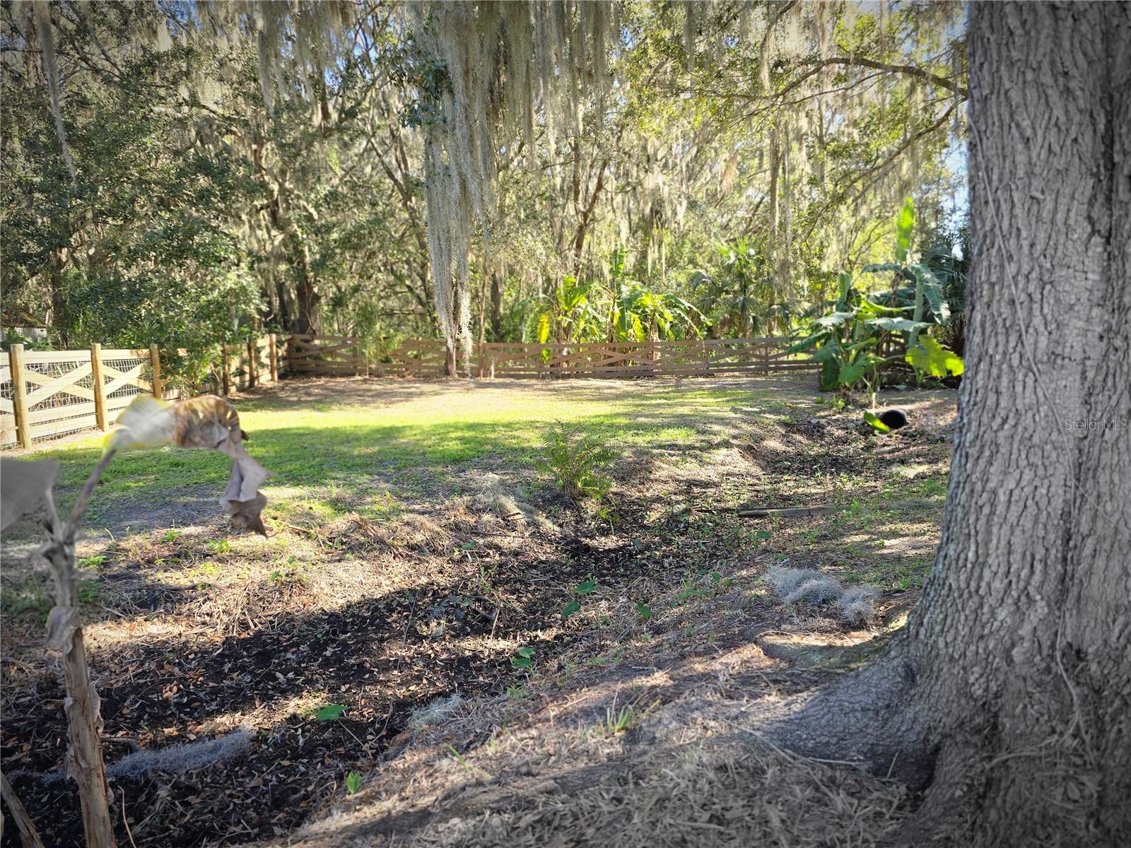 27410 YALAHA CUT OFF RD, YALAHA, FL — photo 58