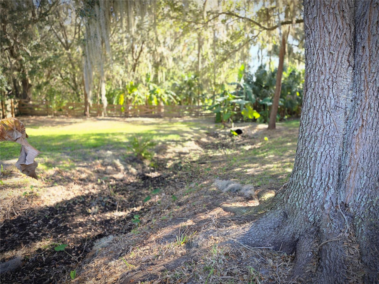 27410 YALAHA CUT OFF RD, YALAHA, FL — photo 59