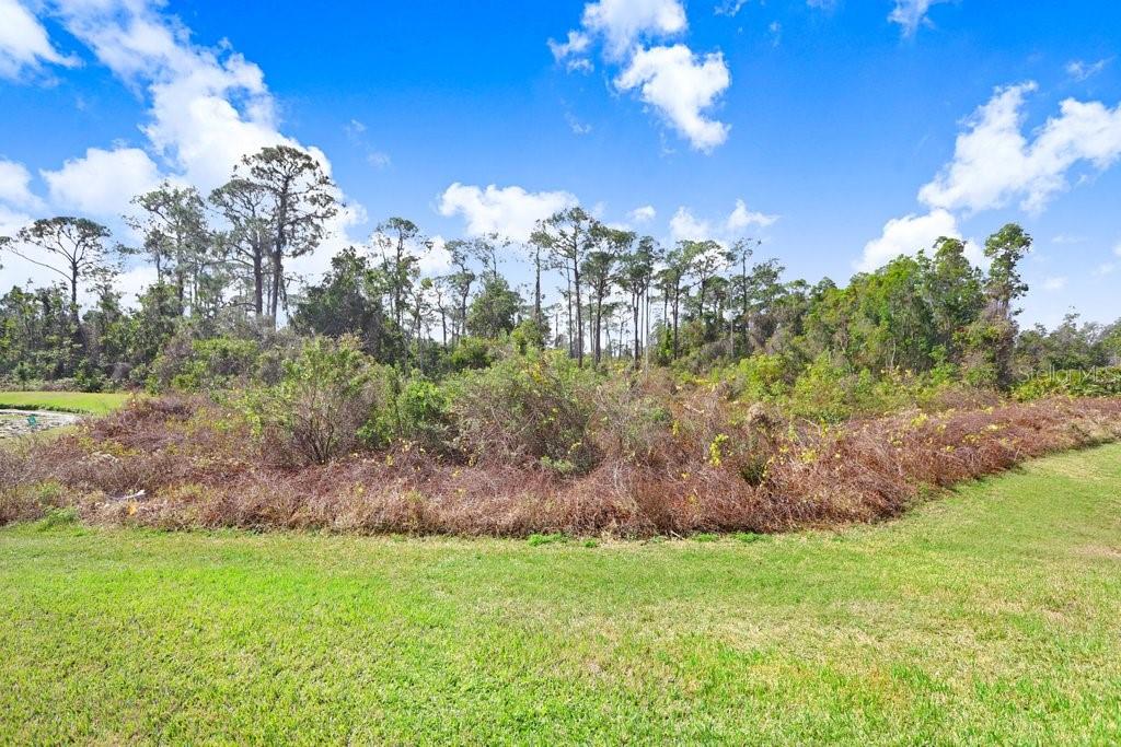 116 OCEAN BLUFF DR, KISSIMMEE, FL — photo 22